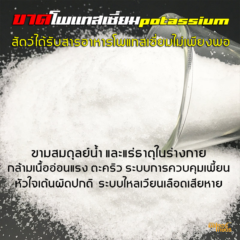 มินเนอร์99 "Minner99" แร่ธาตุจำเป็นสำหรับสัตว์